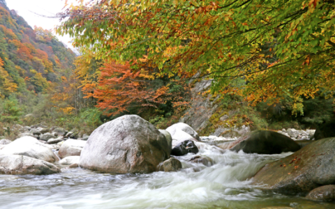 广元市青川县旅游示范区