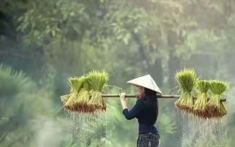 在别人的世界里孤芳自赏独善其身