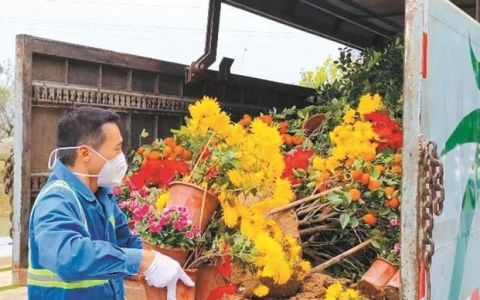 岁岁年年相似年年岁岁不同的意思