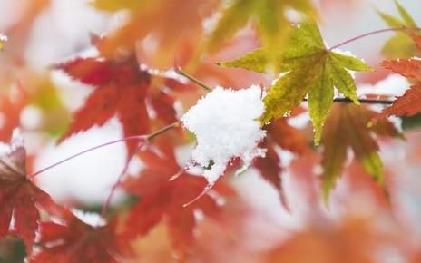 今天冬至天晴代表冬天冷还是暖,明天冬至是下雨好还是出太阳好