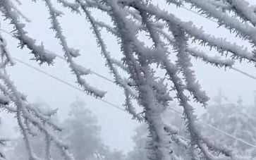 夜深知雪重,时闻折竹声,霜雪落满头,也算共白首