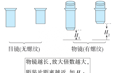 高中生物走进细胞知识点(高中生物走进细胞大题以及答案)